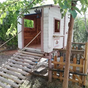  Alloggio per agriturismo Azienda Agrituristica Le Betulle Italia